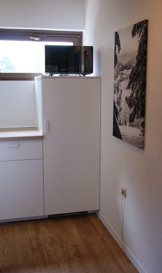 Ferienwohnung Schwarzwaldlust Шлухзее Екстериор снимка